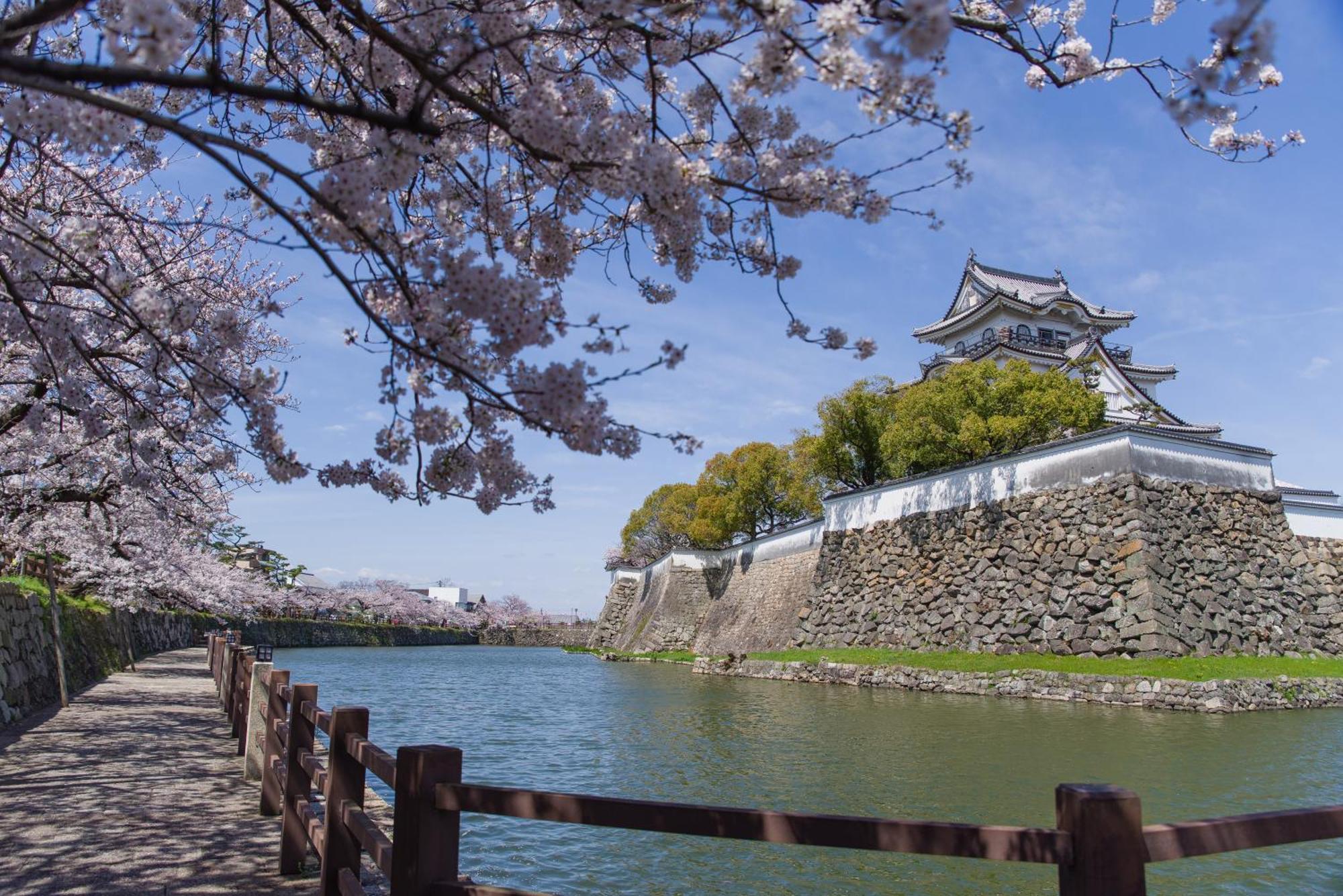 Namba Shinsaibashi 10 Mins Osaka Castle　East公寓 外观 照片